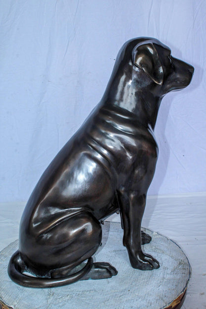 Large Bronze Chocolate Labrador Dog Statue Sitting Pose 22" x 12" x 27"H