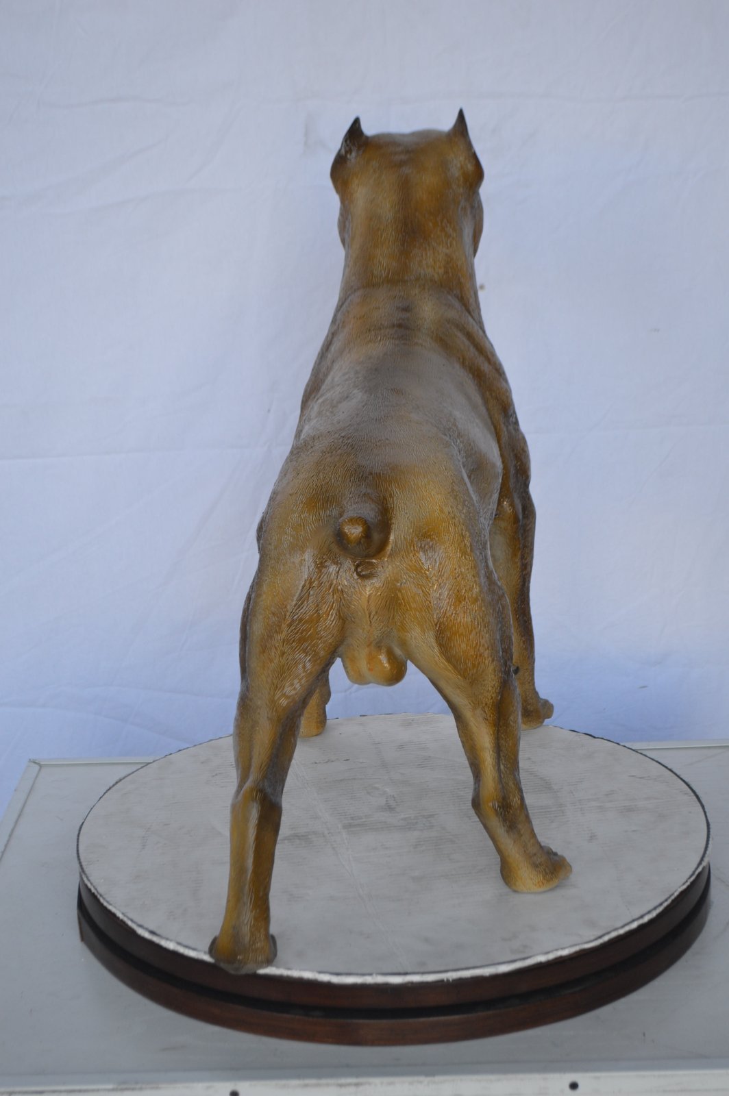 Pitbull Dog Colored Bronze Statue -  Size: 33"L x 10"W x 26"H.