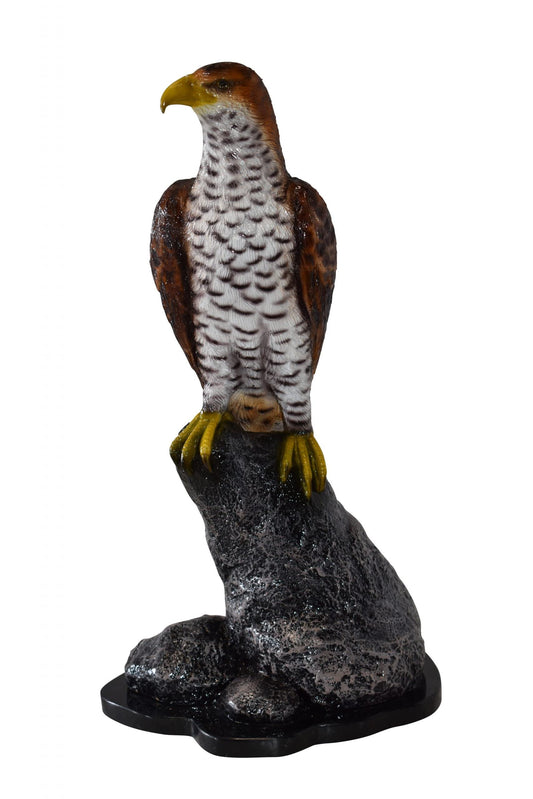 Eagle Standing on a Rock Looking for Prey Size: 10" x 13" x 22"H