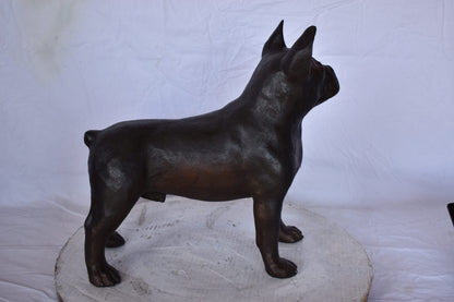 French Bulldog Standing Made of Bronze Statue - Size: 9"L x 20"W x 18"H.
