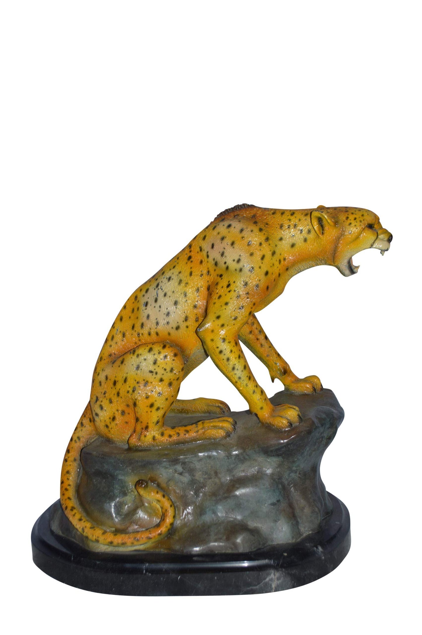 Cheetah sitting on a rock growling bronze statue - Size: 18"L x 12"W x 18"H.