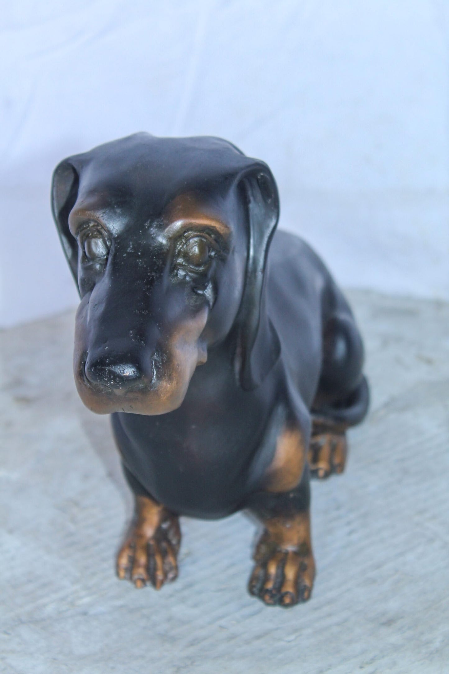 Adorable Dachshund Dog Sitting Bronze Statue 17" x 5" x 10"H