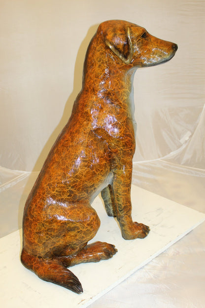 Labrador Dog Bronze Statue -  Size: 29"L x 16"W x 31"H.