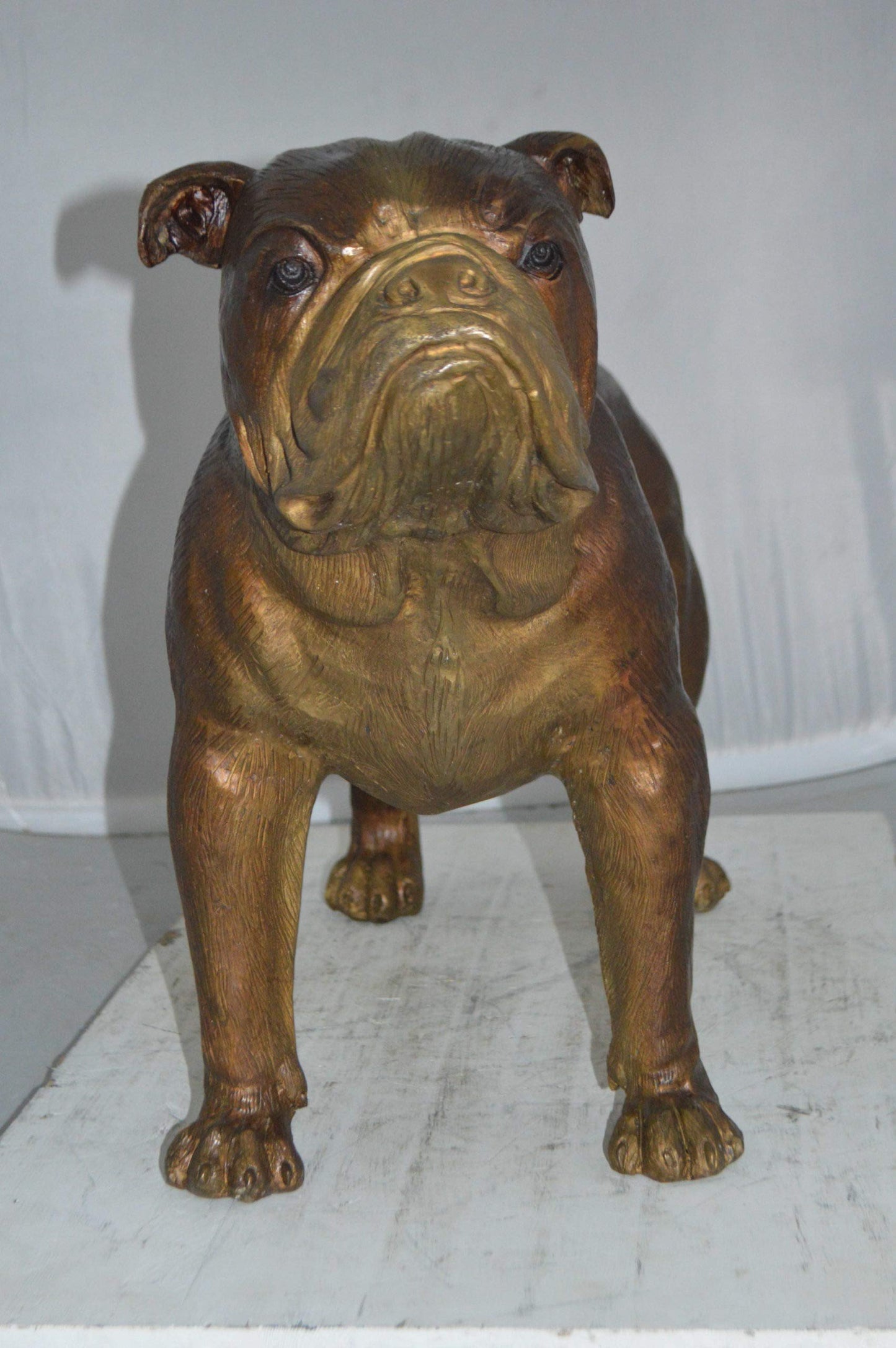 Bulldog Medium Bronze Statue -  Size: 29"L x 11"W x 20"H.