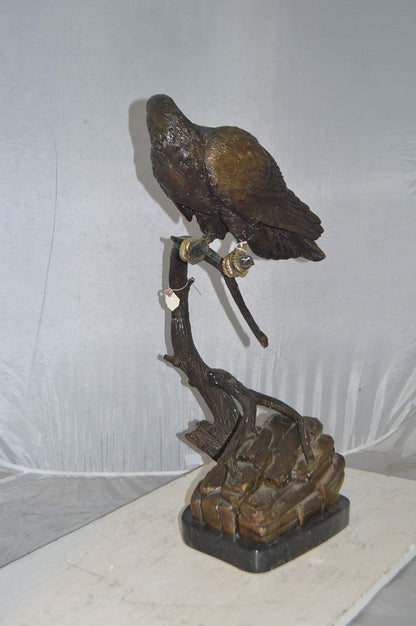 Falcon On a Branch Bronze Statue -  Size: 15"L x 15"W x 28"H