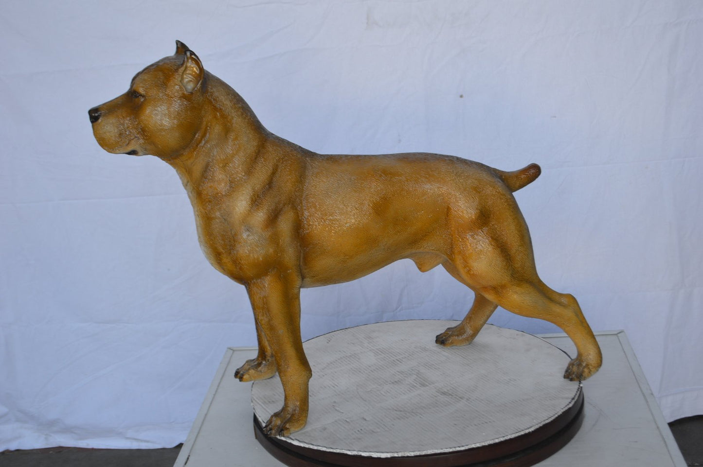 Pitbull Dog Colored Bronze Statue -  Size: 33"L x 10"W x 26"H.