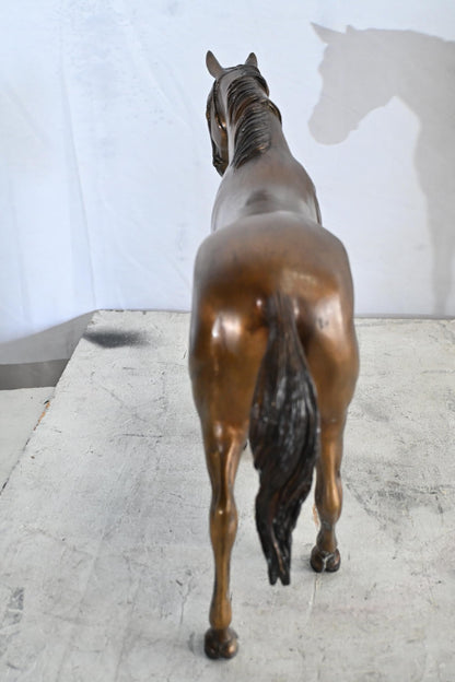 Standing Horse Bronze Statue Equestrian Sculpture Figurine 20"x5"x14"H