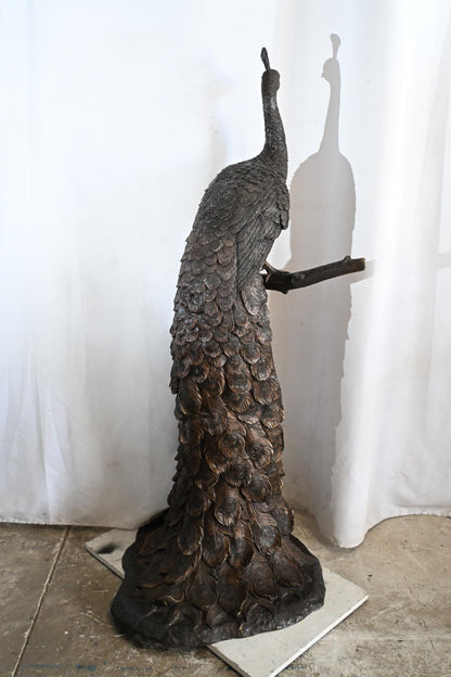 Life Size Peacock Bronze Statue Bird Sculpture Large 31"x30"x64"H