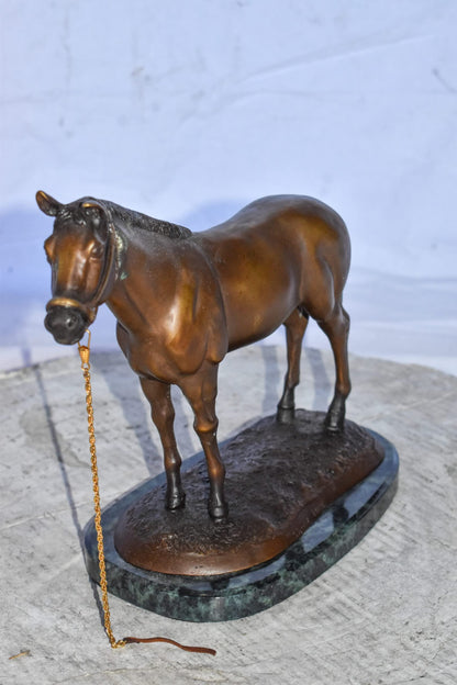 Standing Horse Limited Edition Bronze Statue by Bob Beeler Size: 12" x 6" x 10"H