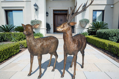 Pair of standing Deers bronze statues -  Size: 48"L x 45"W x 65"H.
