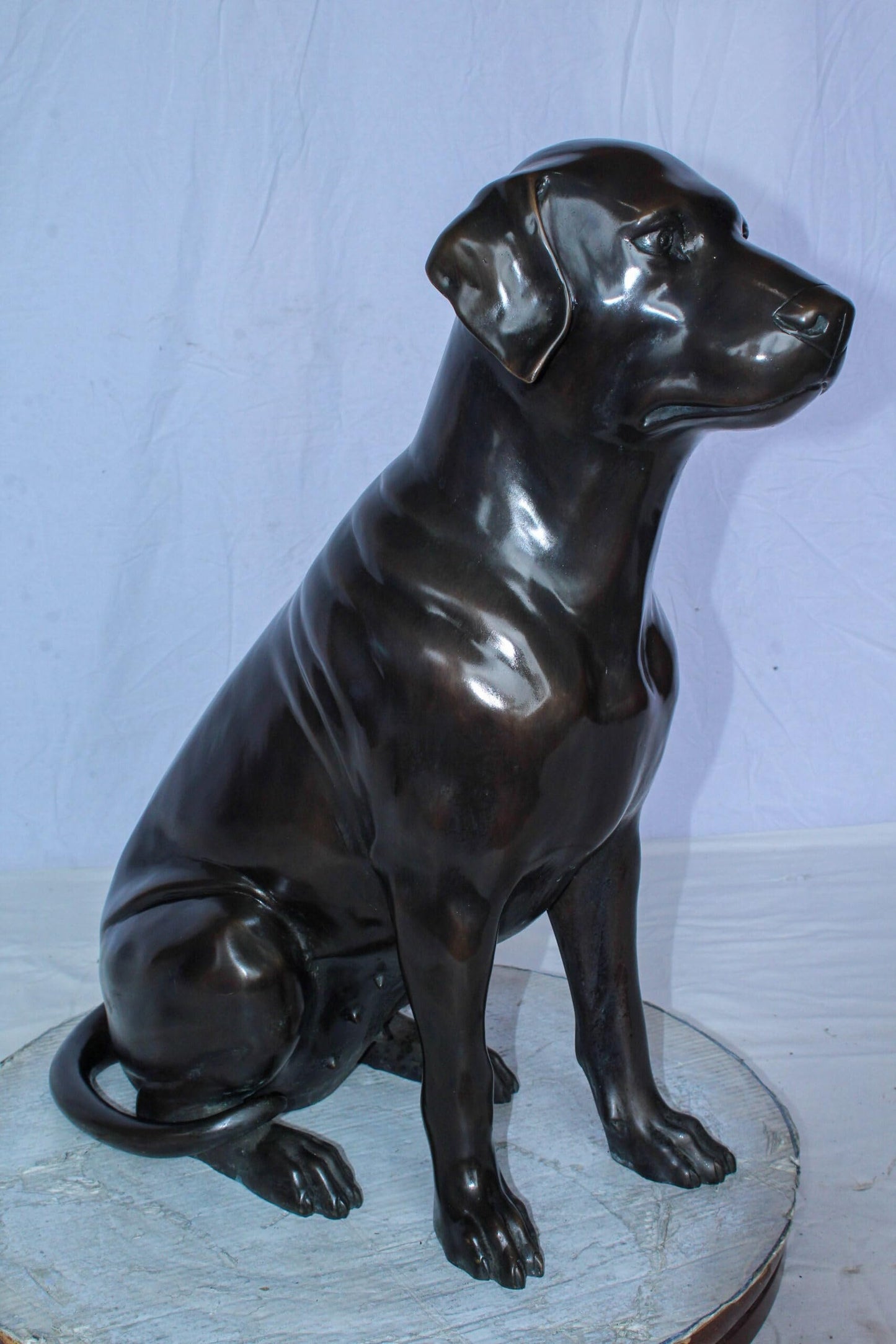 Large Bronze Chocolate Labrador Dog Statue Sitting Pose 22" x 12" x 27"H