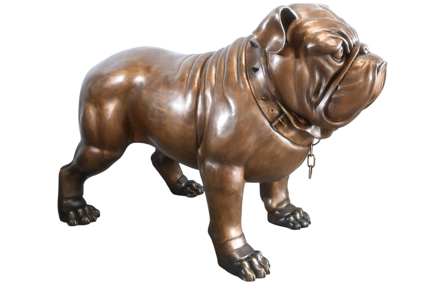 Giant Bronze English Bulldog Statue Studded Collar Decor 80"x35"x54"H