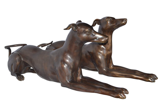 Pair of Greyhound dogs laying down Bronze Statues - Size: 50"L x 11"W x 20"H.