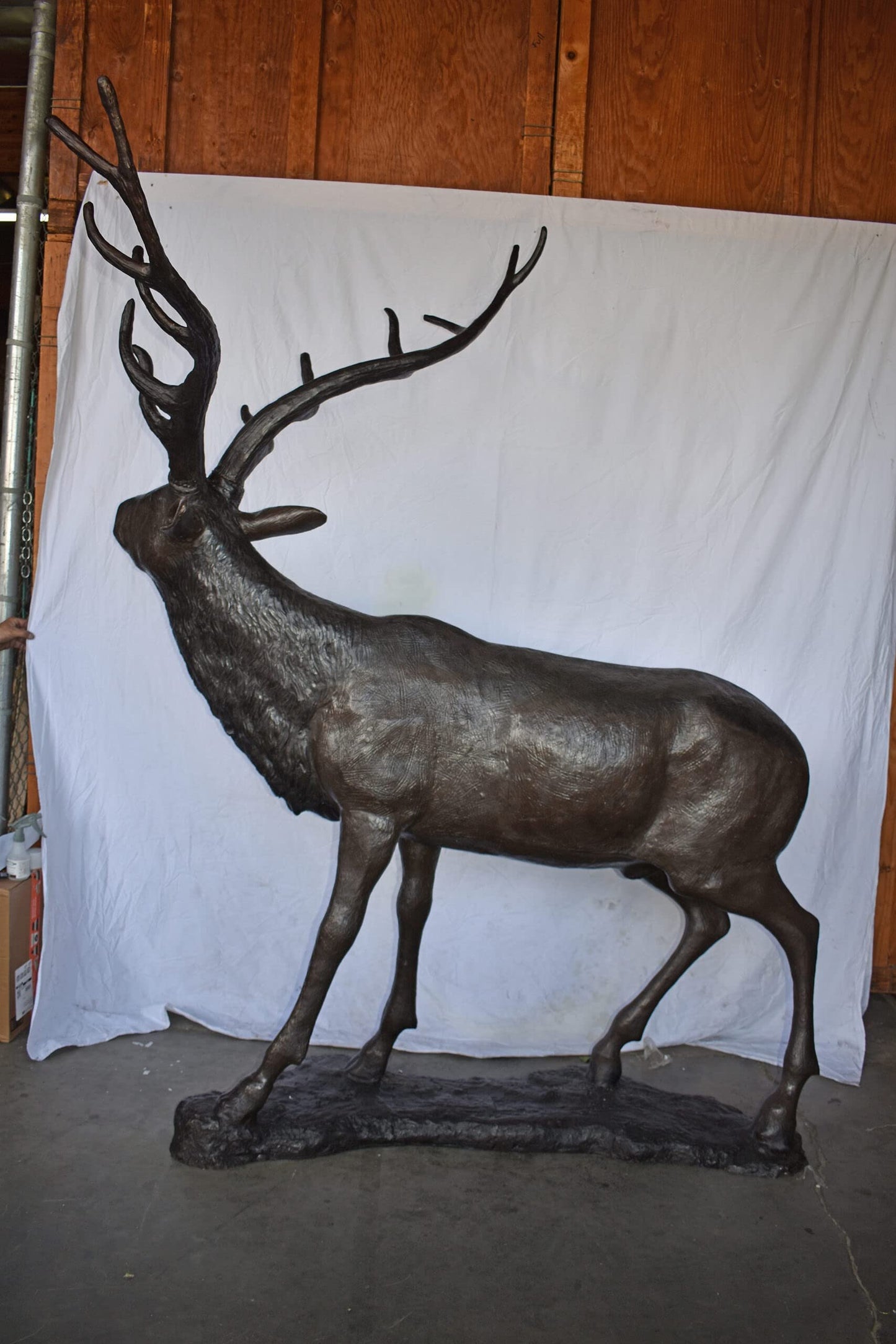 Lifesize And Incredibly Detailed Reindeer Bronze Statue Size: 75" x 50" x 85"H