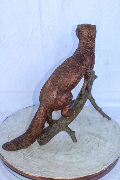 Bronze Statue of a Mongoose Climbing a Tree Branch 24" x 12" x 20"H