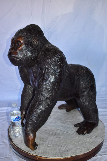 Gorilla Standing on Four Detailed Impressive Bronze Statue 20" x 17" x 24"H