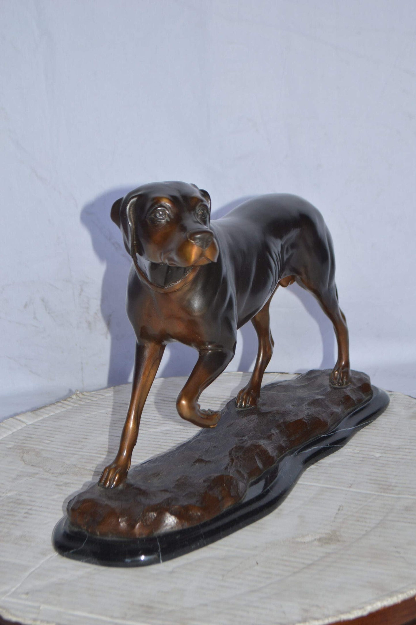 Black Labrador Bronze Statue Mounted on A Marble - Size: 20"L x 8"W x 14"H.