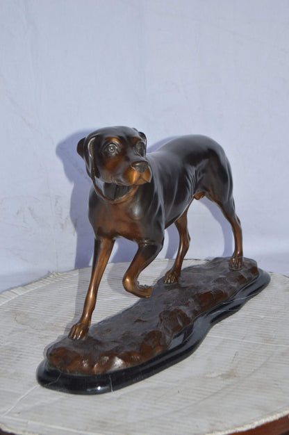 Black Labrador Bronze Statue Mounted on A Marble - Size: 20"L x 8"W x 14"H.