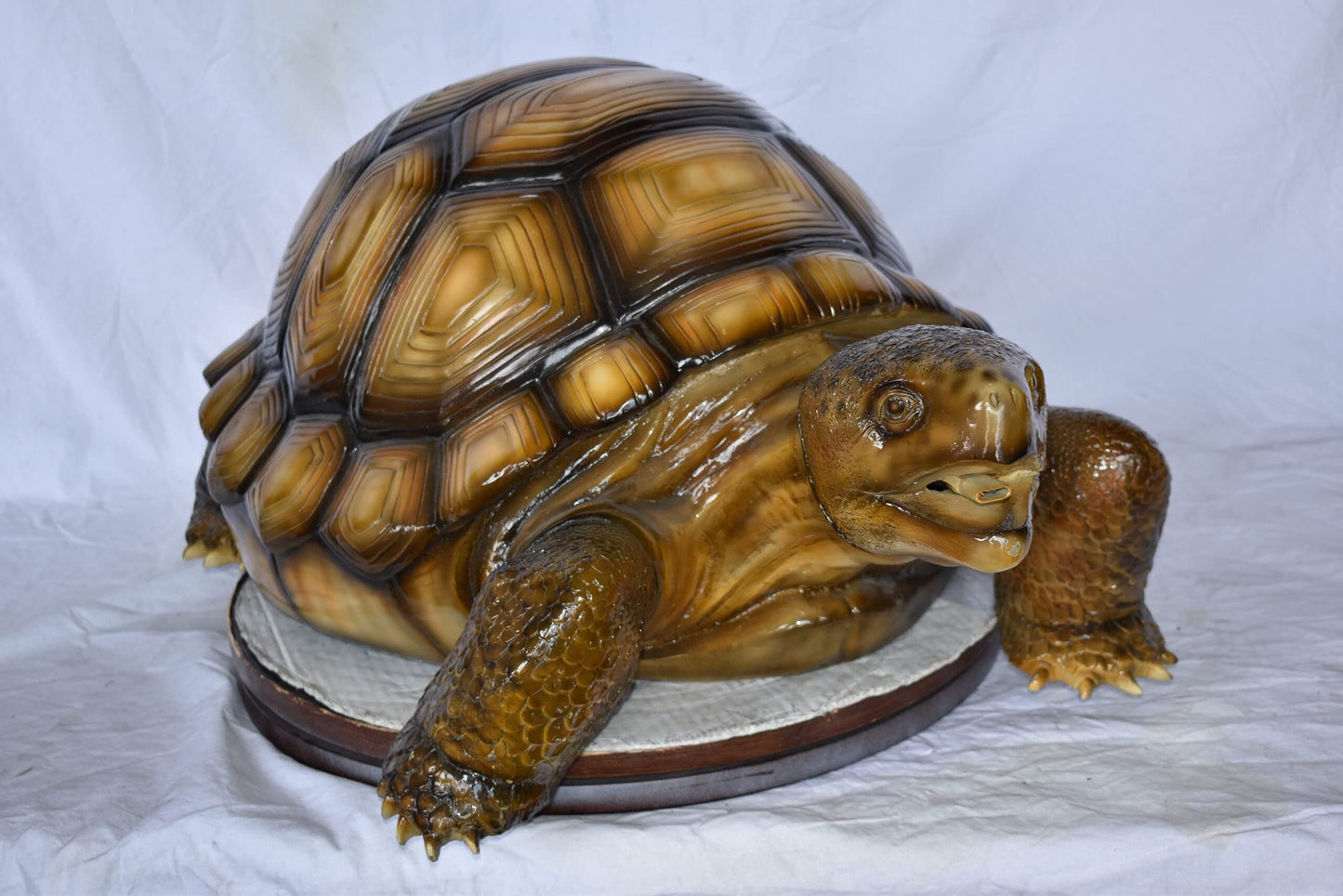 Giant Tortoise Turtle Fountain Light Brown Finish Bronze Statue  24"x 38" x 16"H
