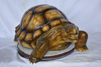 Giant Tortoise Turtle Fountain Light Brown Finish Bronze Statue  24"x 38" x 16"H