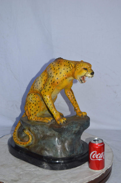 Cheetah sitting on a rock growling bronze statue - Size: 18"L x 12"W x 18"H.