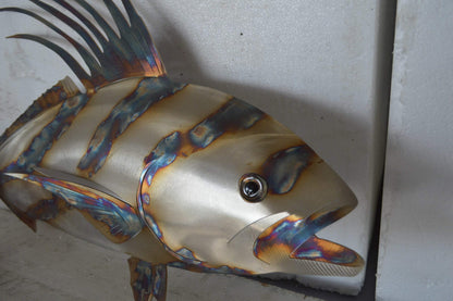 Snapper fish laser cut steel wall mounted - Size: 26"L x 2"W x 17"H.