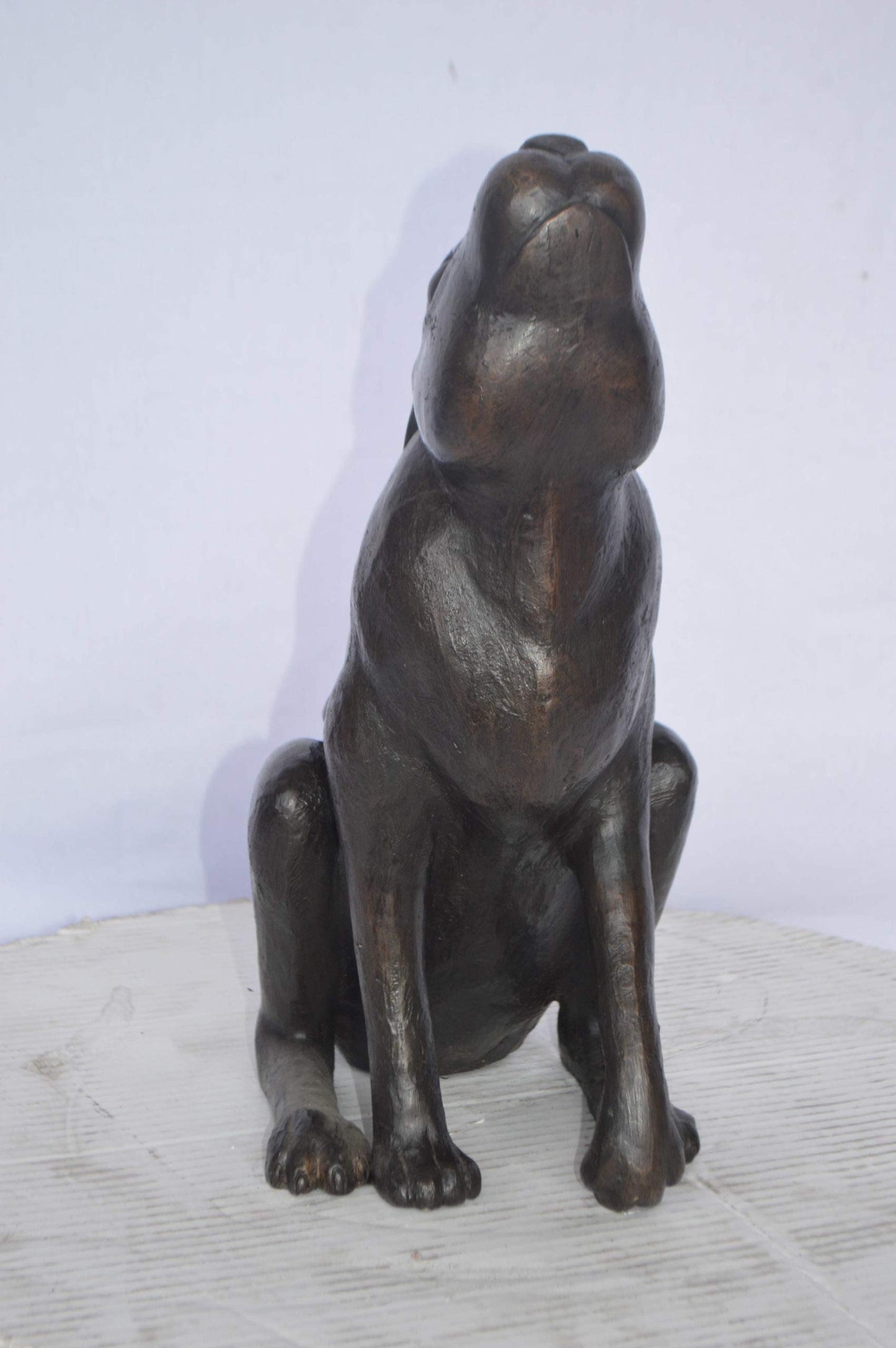 Rabbit Gazing Up Bronze Statue - Size: 8"L x 14"W x 16"H.