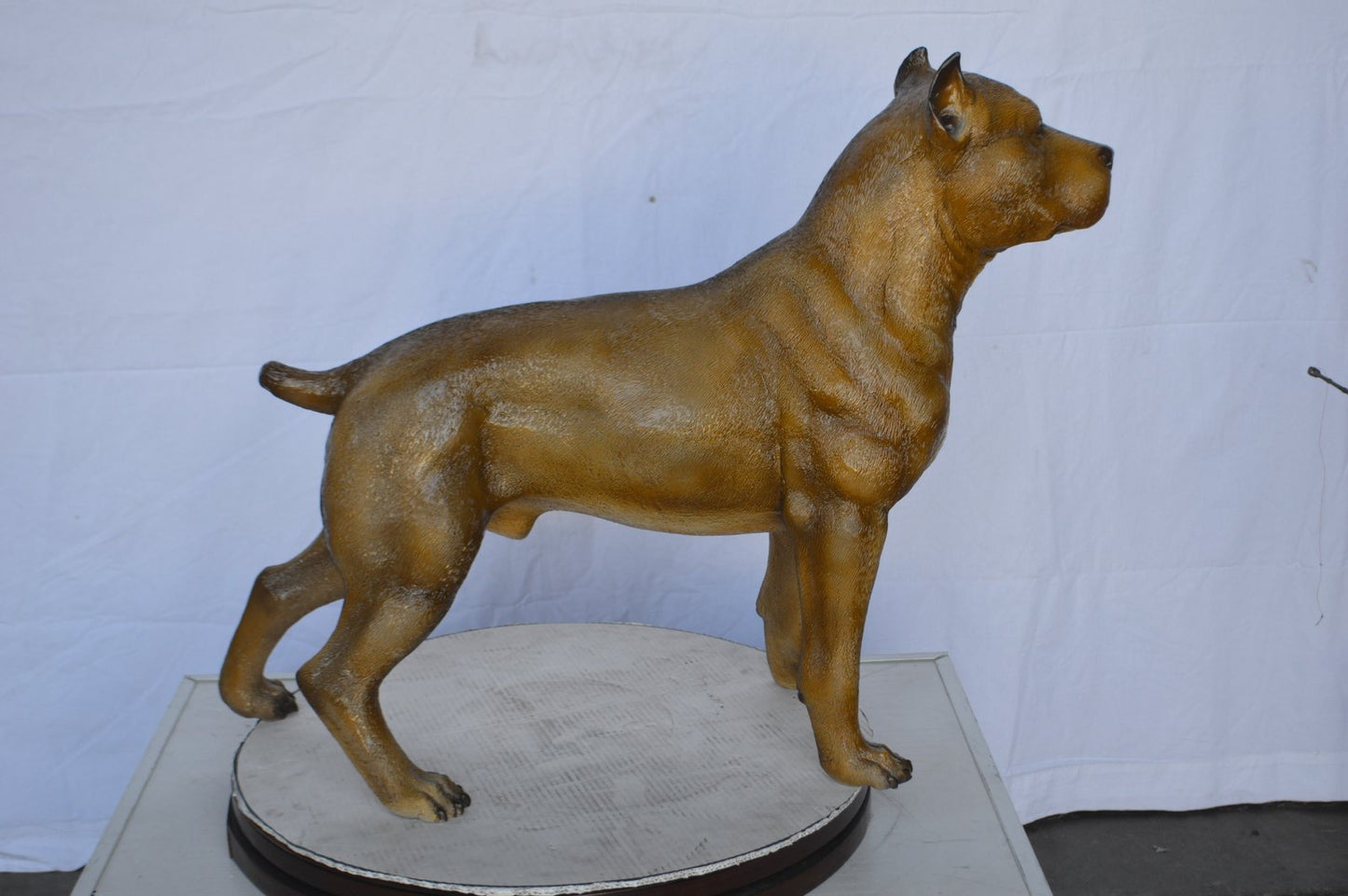 Pitbull Dog Colored Bronze Statue -  Size: 33"L x 10"W x 26"H.