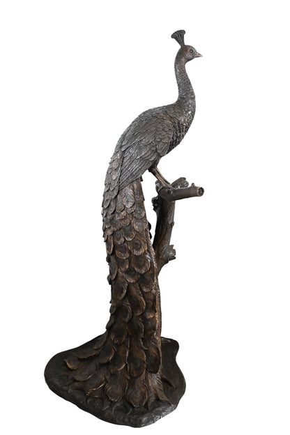 Life Size Peacock Bronze Statue Bird Sculpture Large 31"x30"x64"H