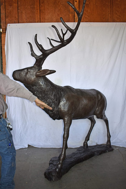 Lifesize And Incredibly Detailed Reindeer Bronze Statue Size: 75" x 50" x 85"H