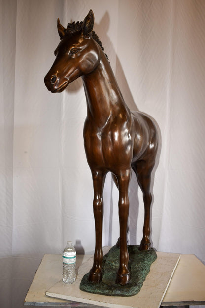 Standing Pony Made of Bronze Statue 47" x 12" x 48"H