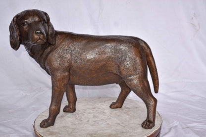 Beagle Dog Standing Made of Bronze, Statue - Size: 27"L x 14"W x 21"H.