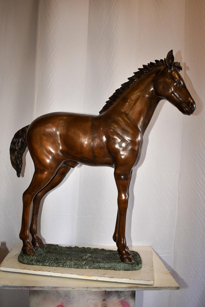 Standing Pony Made of Bronze Statue 47" x 12" x 48"H