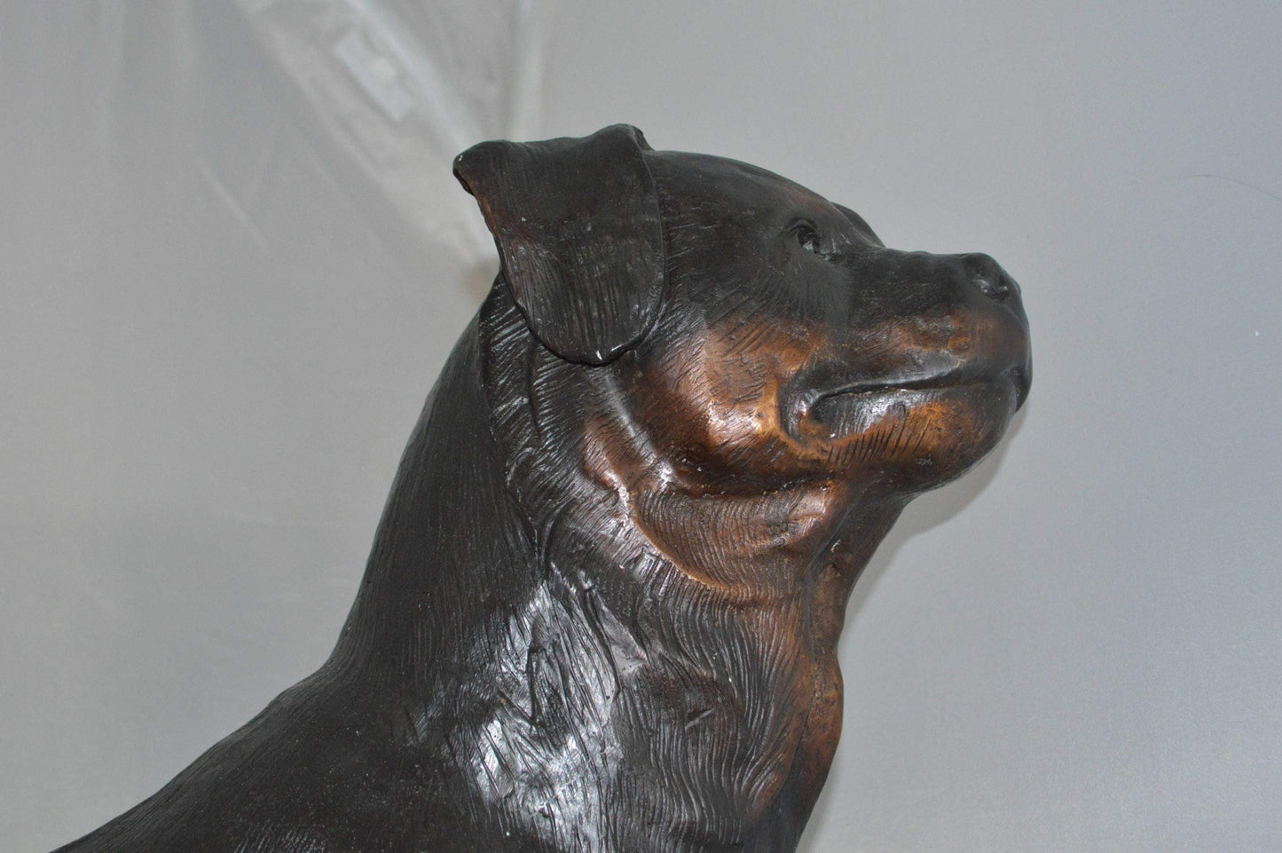 Rottweiler Dog Bronze Statue -  Size: 44"L x 10"W x 36"H.