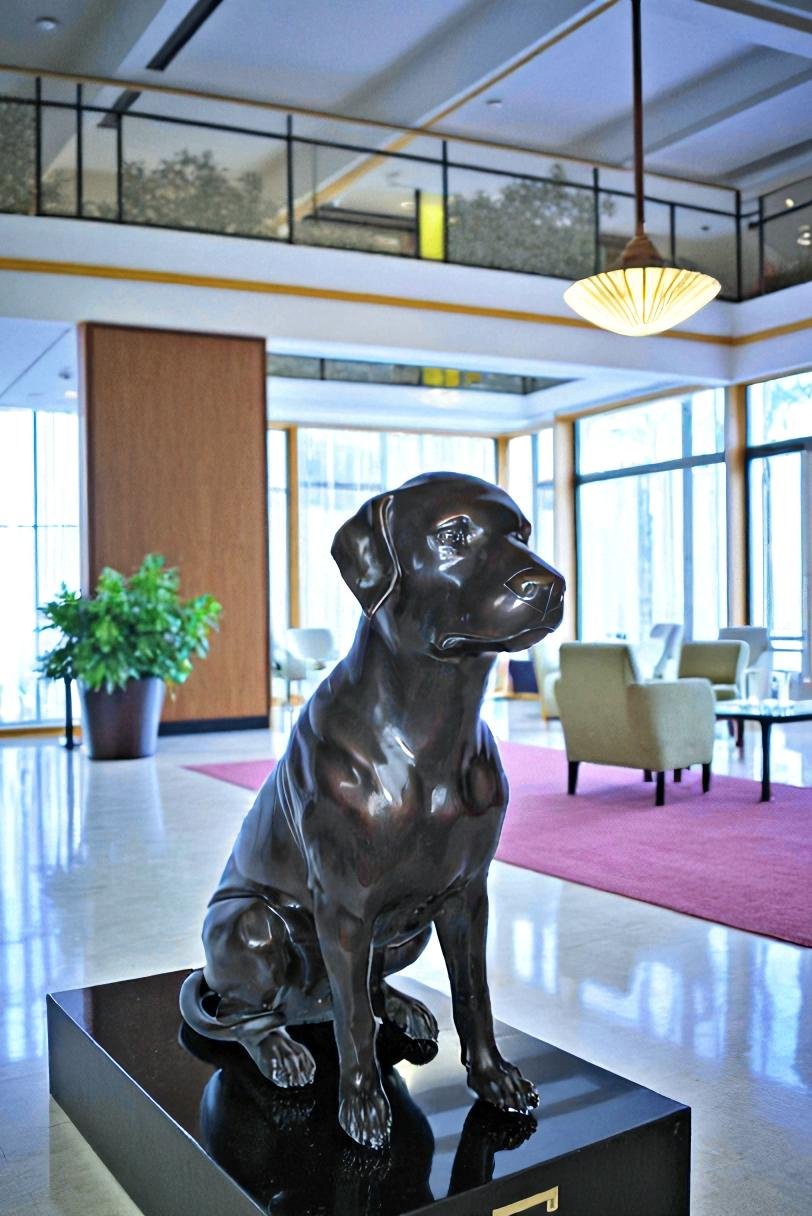 Large Bronze Chocolate Labrador Dog Statue Sitting Pose 22" x 12" x 27"H