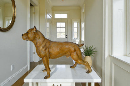 Pitbull Dog Colored Bronze Statue -  Size: 33"L x 10"W x 26"H.