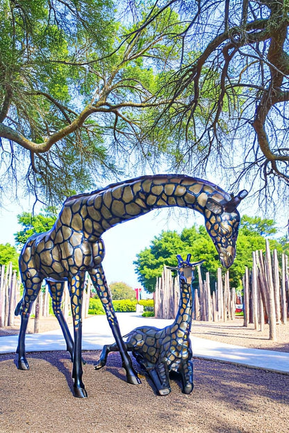 Life Size Bronze Giraffes Statues, One Laying, One Standing 77" x 21" x 58"H