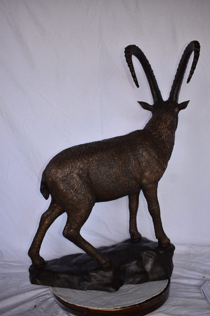 Standing Lifesize Mountain Goat Bronze Statue  - Size: 22"L x 36"W x 48"H.