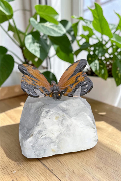 Orange Butterfly made of Bronze mounted on a rock - Size: 5"L x 5"W x 4"H.