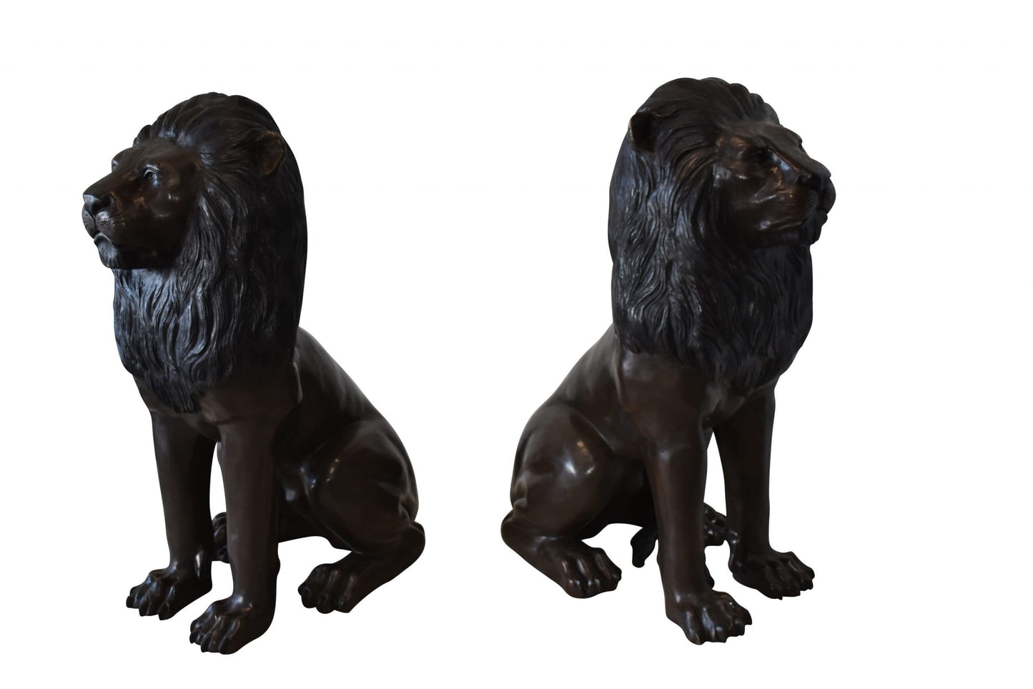 A Pair of Large Lions Sitting Side by Side Bronze Statues Size: 23" x 33" x 46"H
