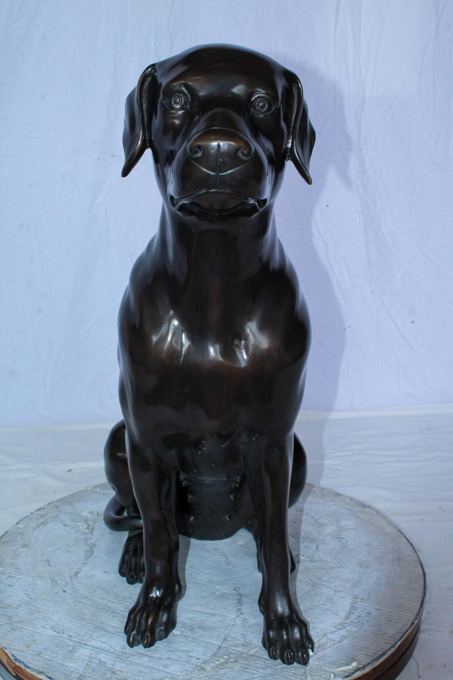 Large Bronze Chocolate Labrador Dog Statue Sitting Pose 22" x 12" x 27"H