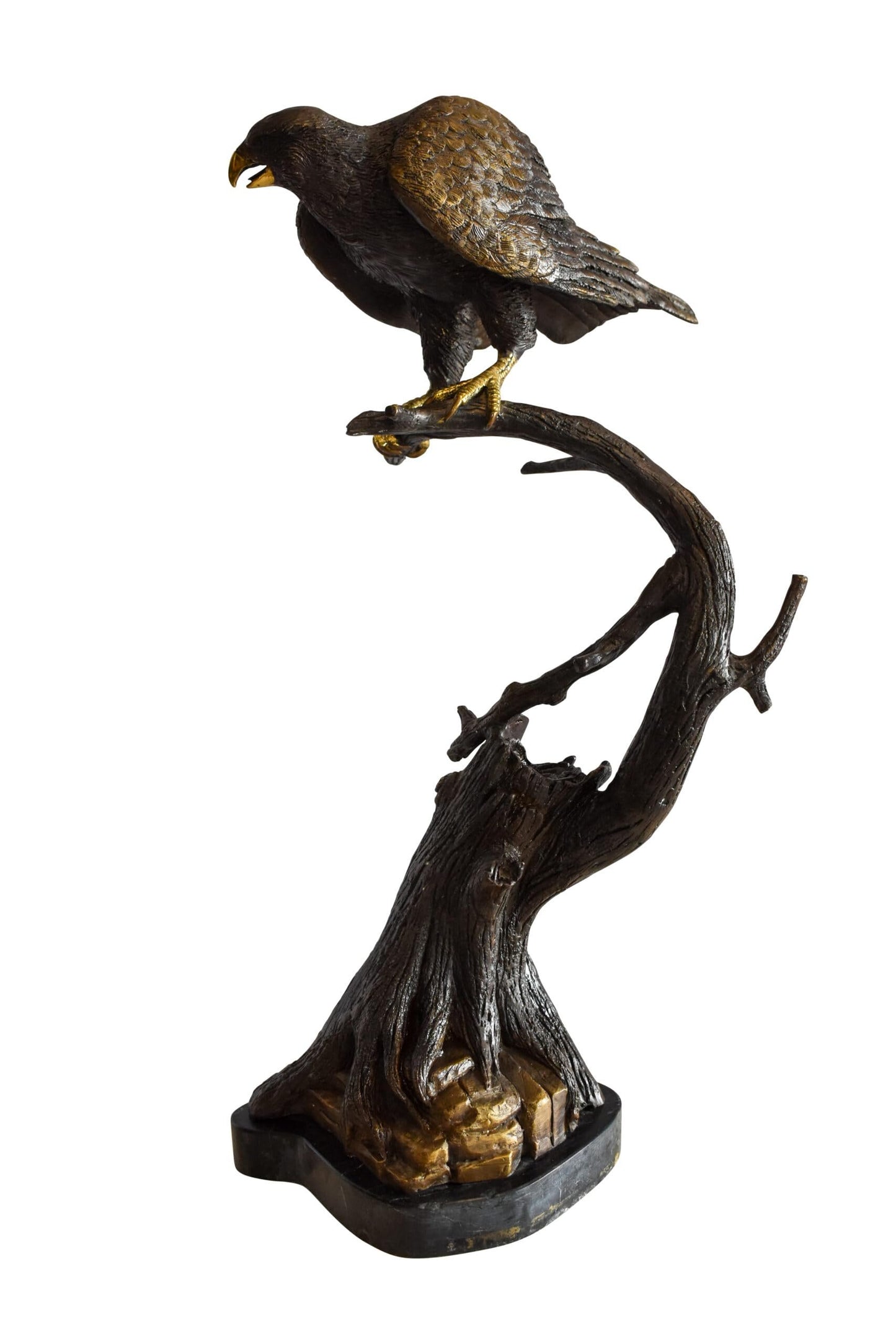 Observant Hawk on Arched Branch Bronze Statue 17" x 19" x 32"H