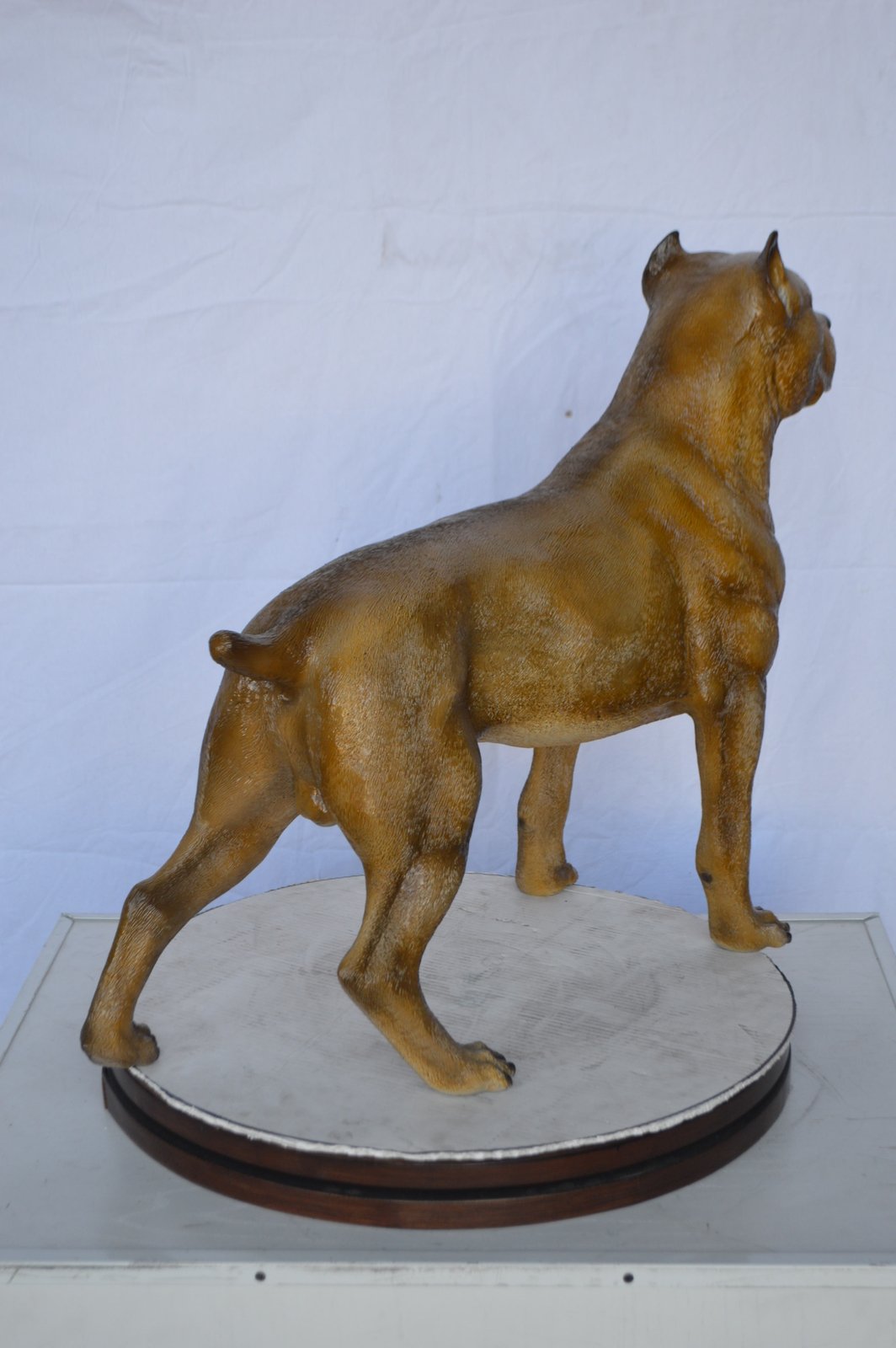Pitbull Dog Colored Bronze Statue -  Size: 33"L x 10"W x 26"H.