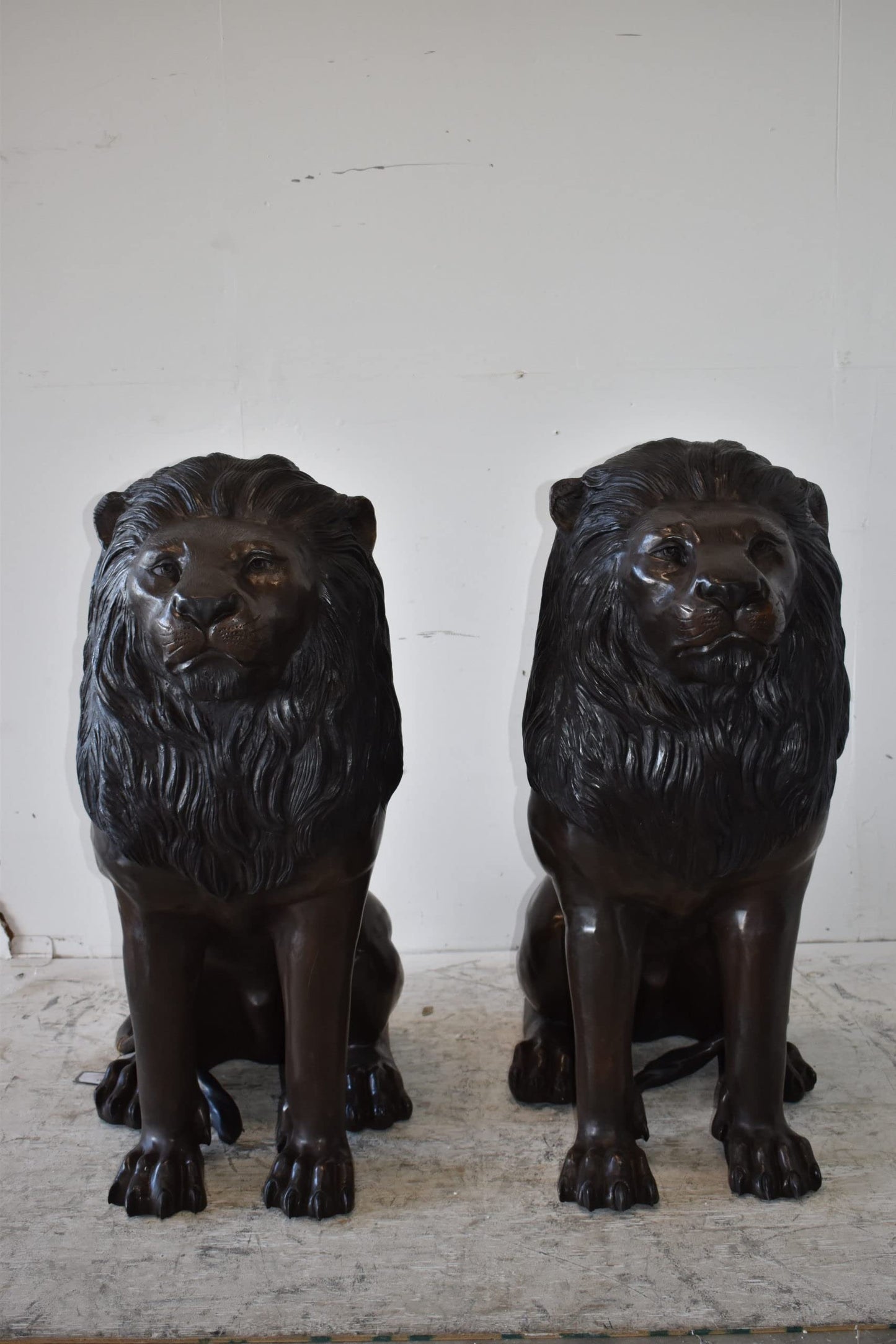 A Pair of Large Lions Sitting Side by Side Bronze Statues Size: 23" x 33" x 46"H