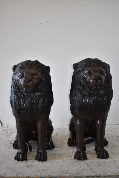 A Pair of Large Lions Sitting Side by Side Bronze Statues Size: 23" x 33" x 46"H