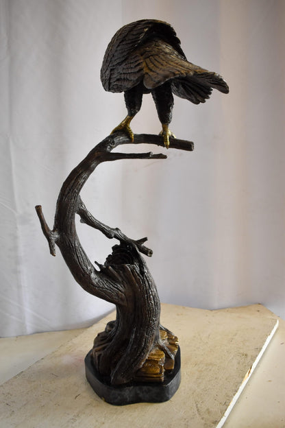 Observant Hawk on Arched Branch Bronze Statue 17" x 19" x 32"H