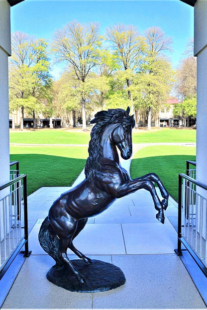 Quarter Horse Rearing, Life Size Bronze Statue, Equestrian Art 72" x 34" x 83"H