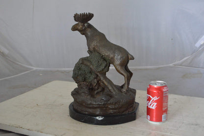 Moose on a rock bronze statue - Size: 9"L x 7"W x 14"H.