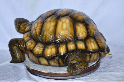 Giant Tortoise Turtle Fountain Light Brown Finish Bronze Statue  24"x 38" x 16"H