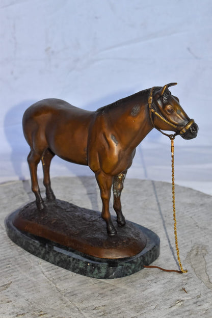 Standing Horse Limited Edition Bronze Statue by Bob Beeler Size: 12" x 6" x 10"H